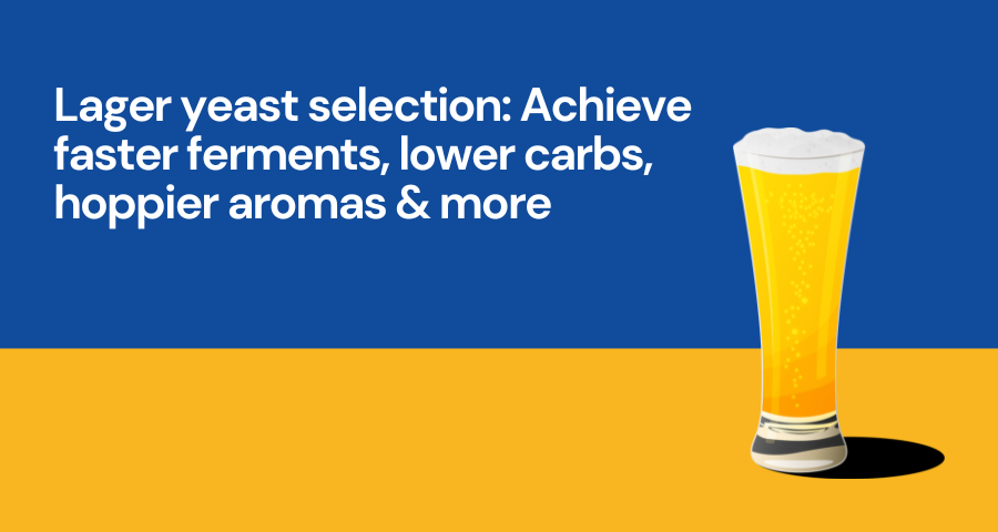 Lager yeast selection: Achieve faster ferments, lower carbs, hoppier aromas & more